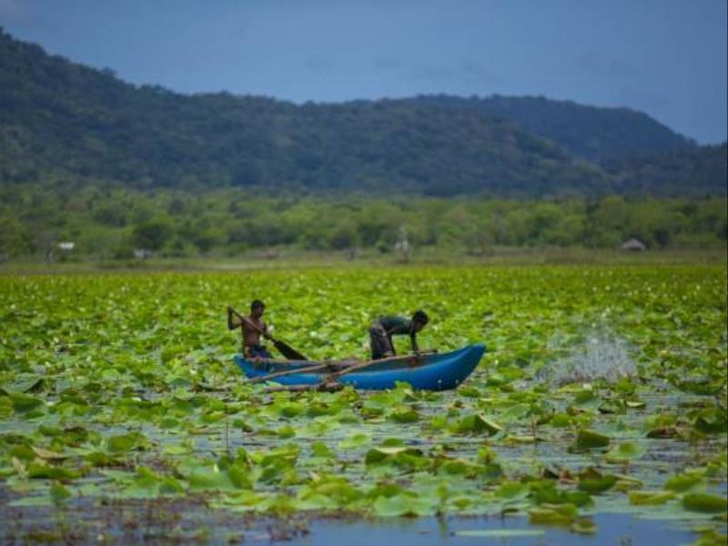 Grand Tamarind Lake Kataragama Exterior photo